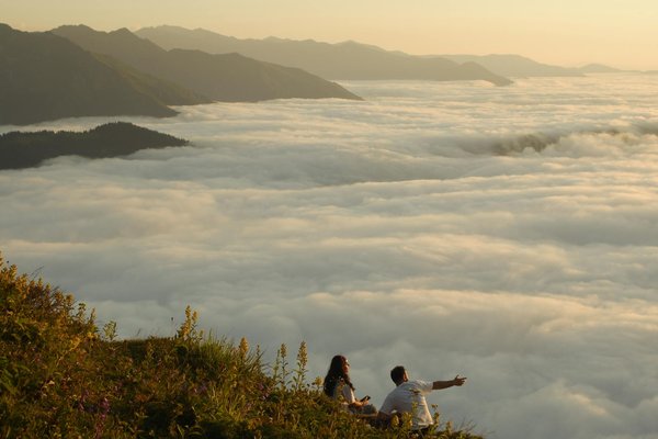 What are the latest trends in UK cruise tourism?