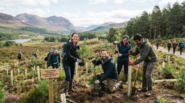 What are the most significant environmental conservation projects in the UK that travelers can support?